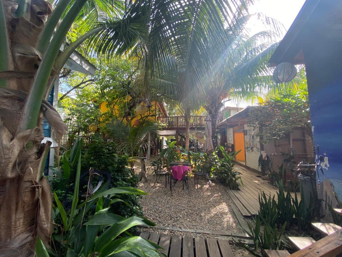 The Funky Dodo Backpackers Hostel Hopkins Exterior foto